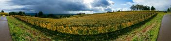 Places Photos