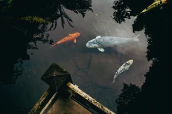 Places Photos